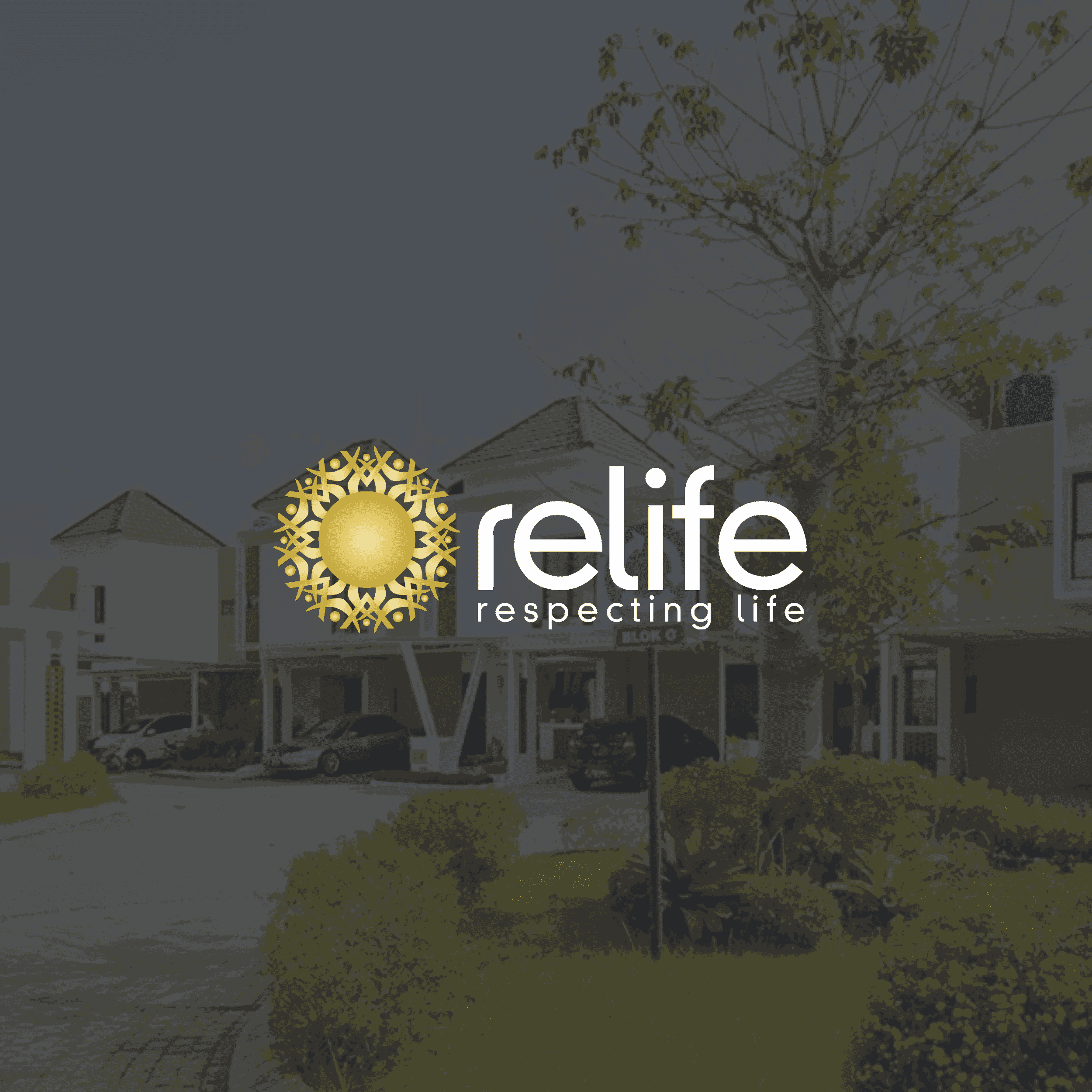 Property Development